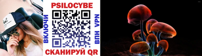 Псилоцибиновые грибы Cubensis  Батайск 